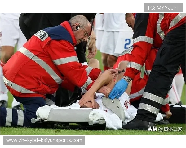 意甲各大球队当前伤停名单与球员恢复进度